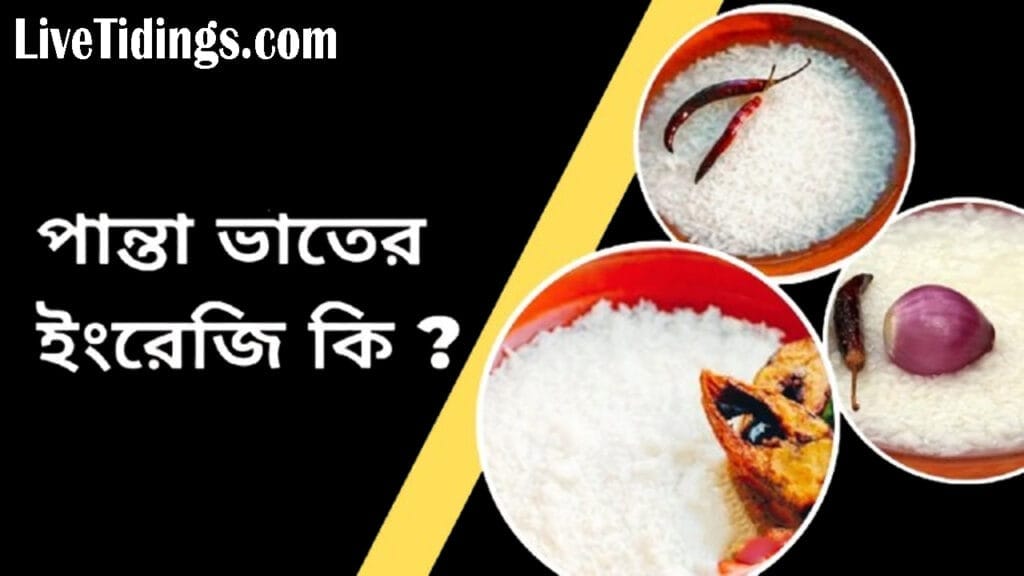 পান্তা ভাত ইংরেজি কি; পান্তা ভাত, পান্তা ভাত english name, পান্তা ভাত ইংরেজি কি, পান্তা ভাত খেলে কি মোটা হয়, পান্তা ভাত খেলে কি গ্যাস হয়, প্রতিদিন পান্তা ভাত খেলে কি হয়, গর্ভাবস্থায় পান্তা ভাত খেলে কি হয়, সকালে পান্তা ভাত খাওয়ার উপকারিতা, পান্তা ভাত ও ডায়াবেটিস, livetidings.com,;